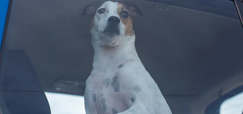 Car Lockout Solutions in Palos Verdes Estates, California